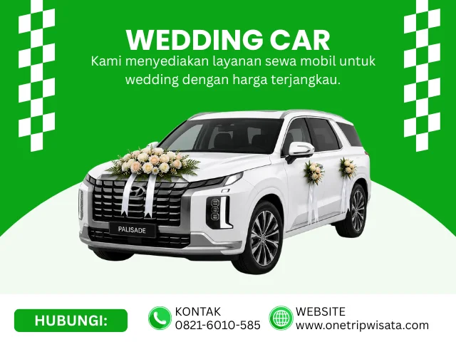 wedding car palisade